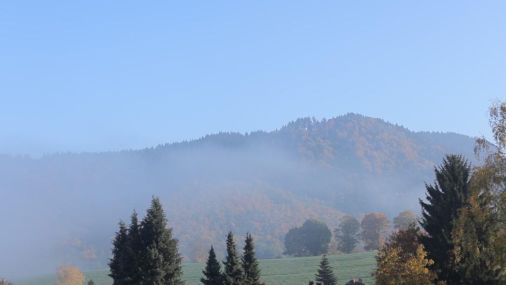 Hotel Neuenfels Badenweiler Exteriér fotografie